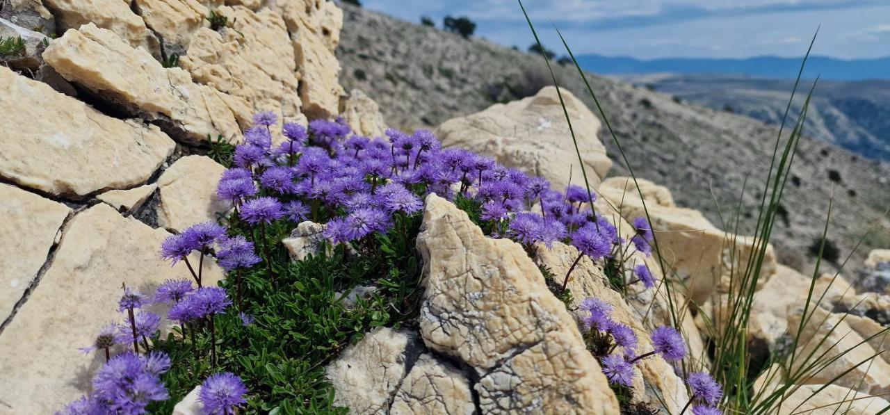 Swim And Climb Baska House - Island Krk Holiday home *
