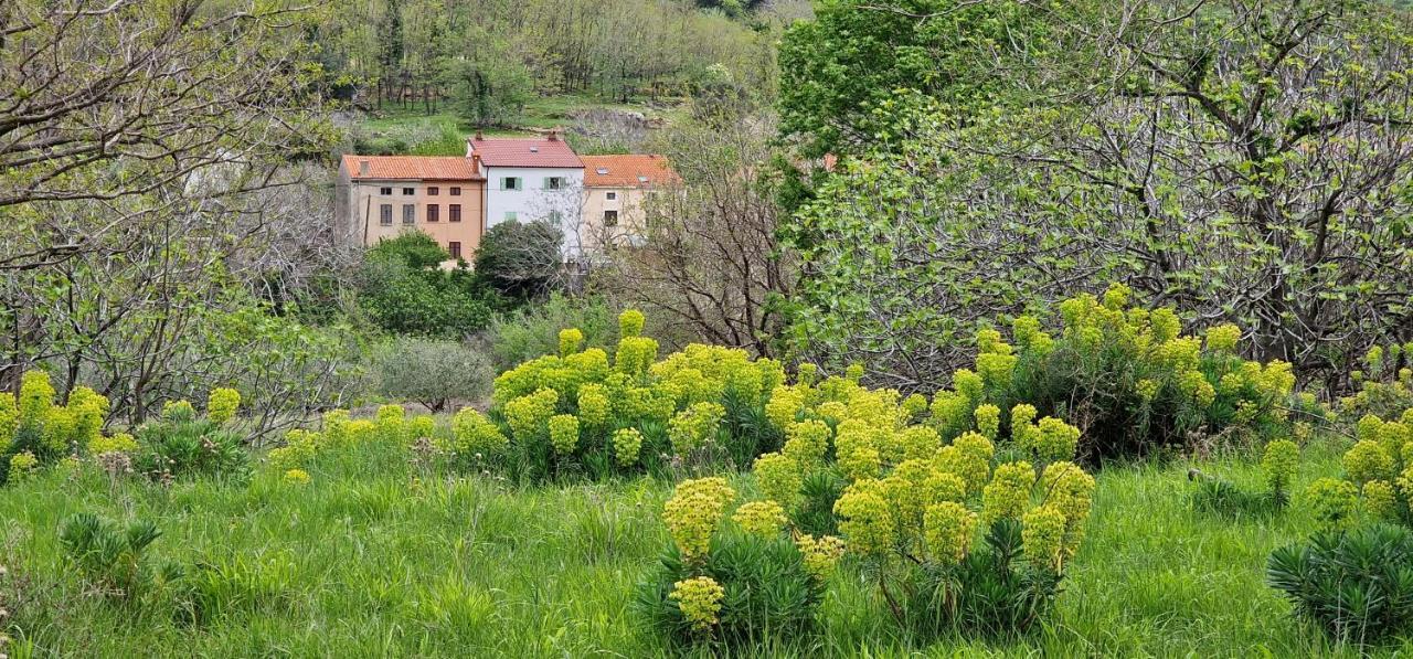Holiday home Swim And Climb Baska House - Island Krk Draga Bascanska